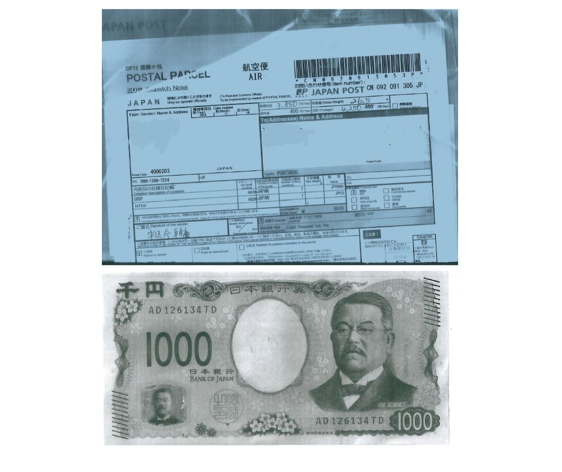 A Operação Decoy II, liderada por Portugal, Espanha e Áustria